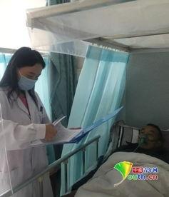 唐菲菲资料,才华横溢的艺术家与她的艺术之路